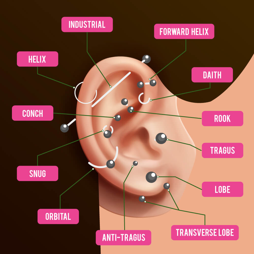 Types Of Ear Piercings 27 Different Types with Pictures 